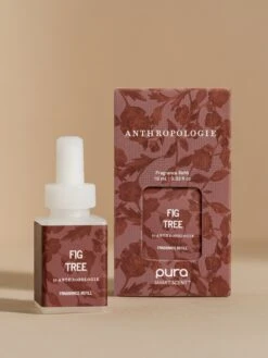 Anthropologie Fig Tree