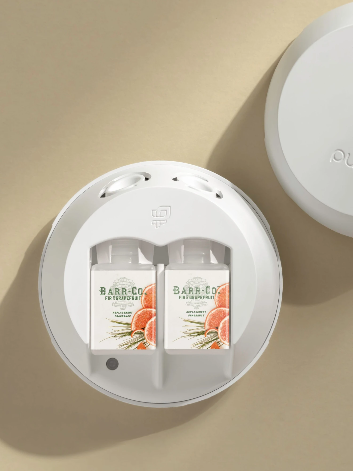 Fir & Grapefruit 3 Fir & Grapefruit - Image 3