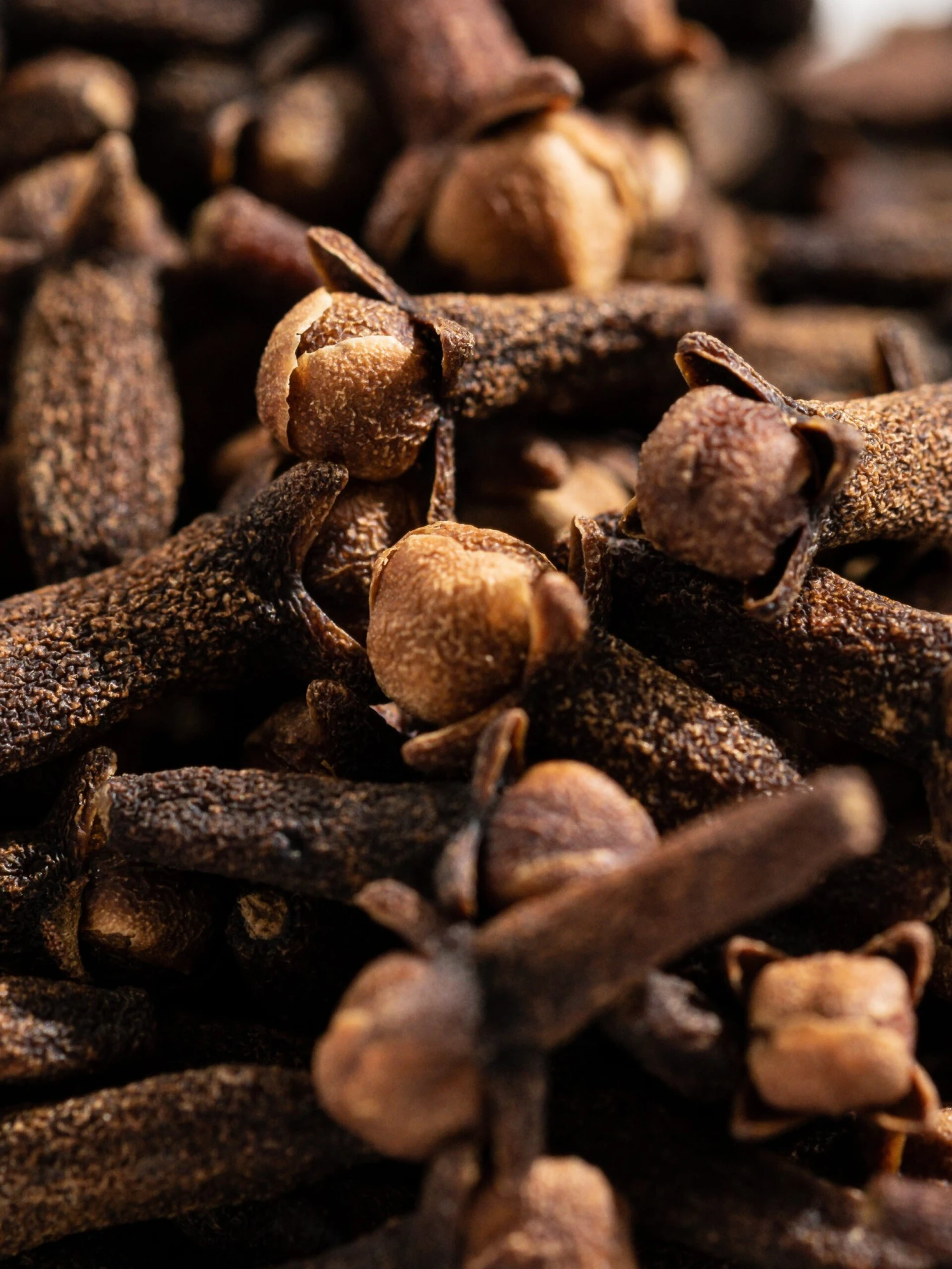 The Smell Of Christmas 2 The Smell Of Christmas - Image 2