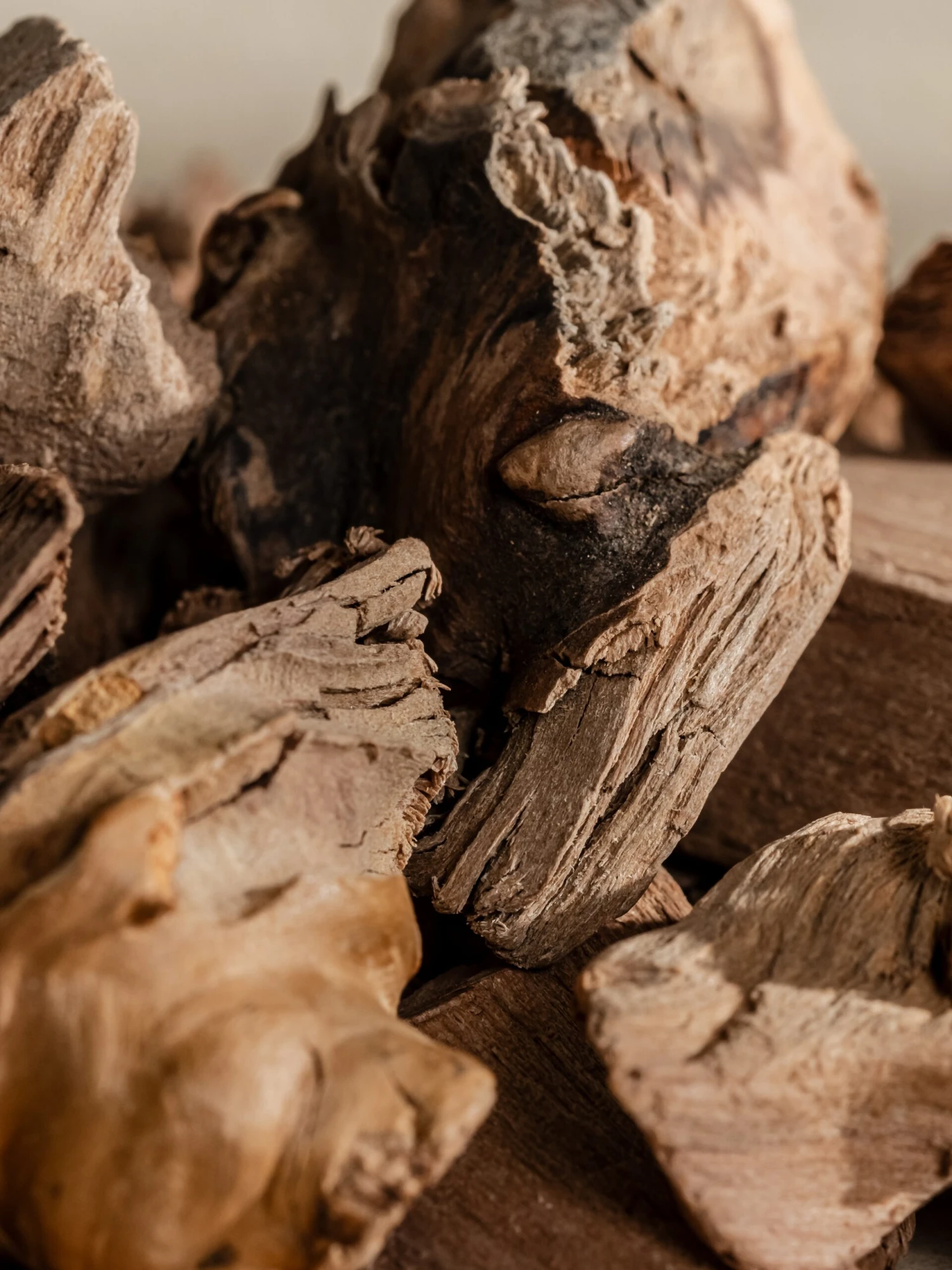 Zephyr 2 Zephyr - Image 2