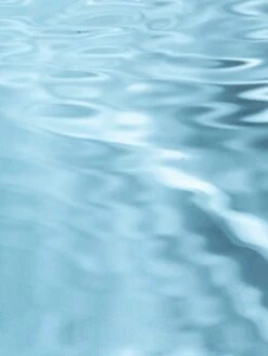 Pura Shop -Pura Shop Ingredients Marine Resized 0724