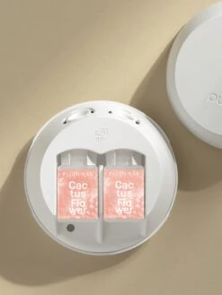 Cactus Flower -Pura Shop Paddywax Cactus Flower Device V4