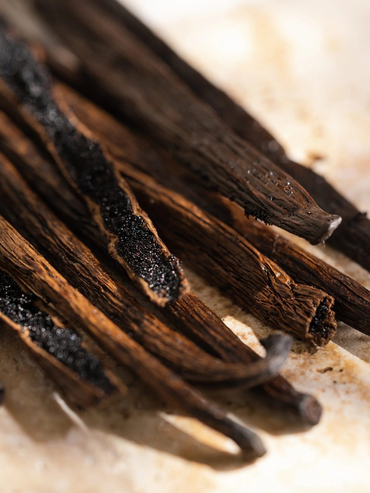 Anthropologie Sandalwood Vanilla 2 Anthropologie Sandalwood Vanilla - Image 2