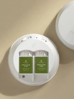 Frasier Fir -Pura Shop Thymes Frasier Fir Device V4