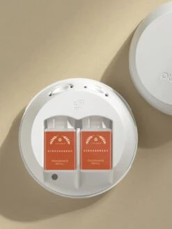 Gingerbread -Pura Shop Thymes Gingerbread Device V4