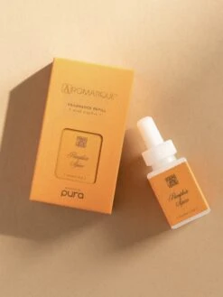 Pumpkin Spice -Pura Shop aromatiquepumpkinspiceresized 2