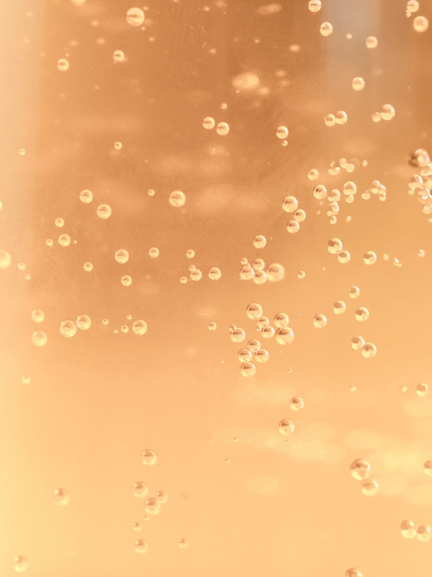 Cranberry Fizz 2 Cranberry Fizz - Image 2