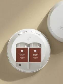 Chestnut Embers -Pura Shop chesnut embers prod 3