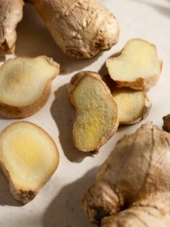 Pura Shop -Pura Shop gingerresized