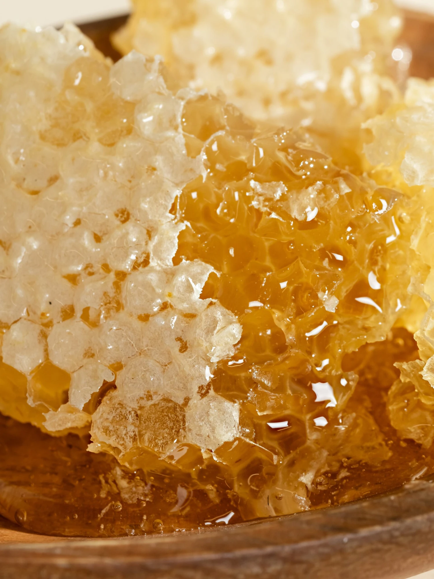 Anthropologie Sol Tobac 2 Anthropologie Sol Tobac - Image 2