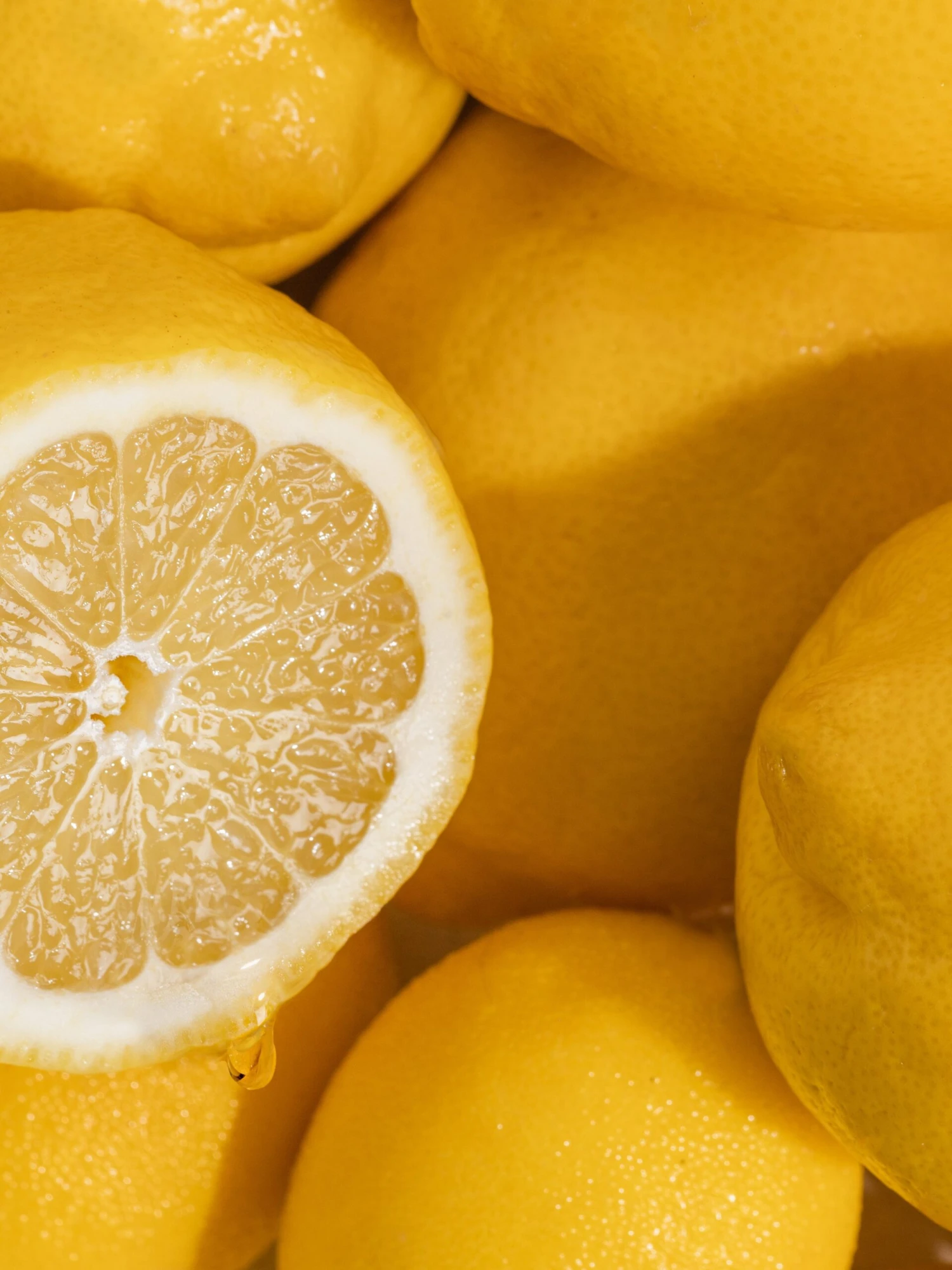 Earl Grey Bitters 2 Earl Grey Bitters - Image 2