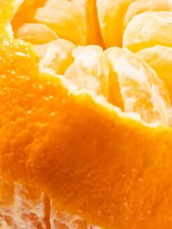 Pura Shop -Pura Shop mandarin resized 96318888 28bc 478f 951c fbfda6c205b8