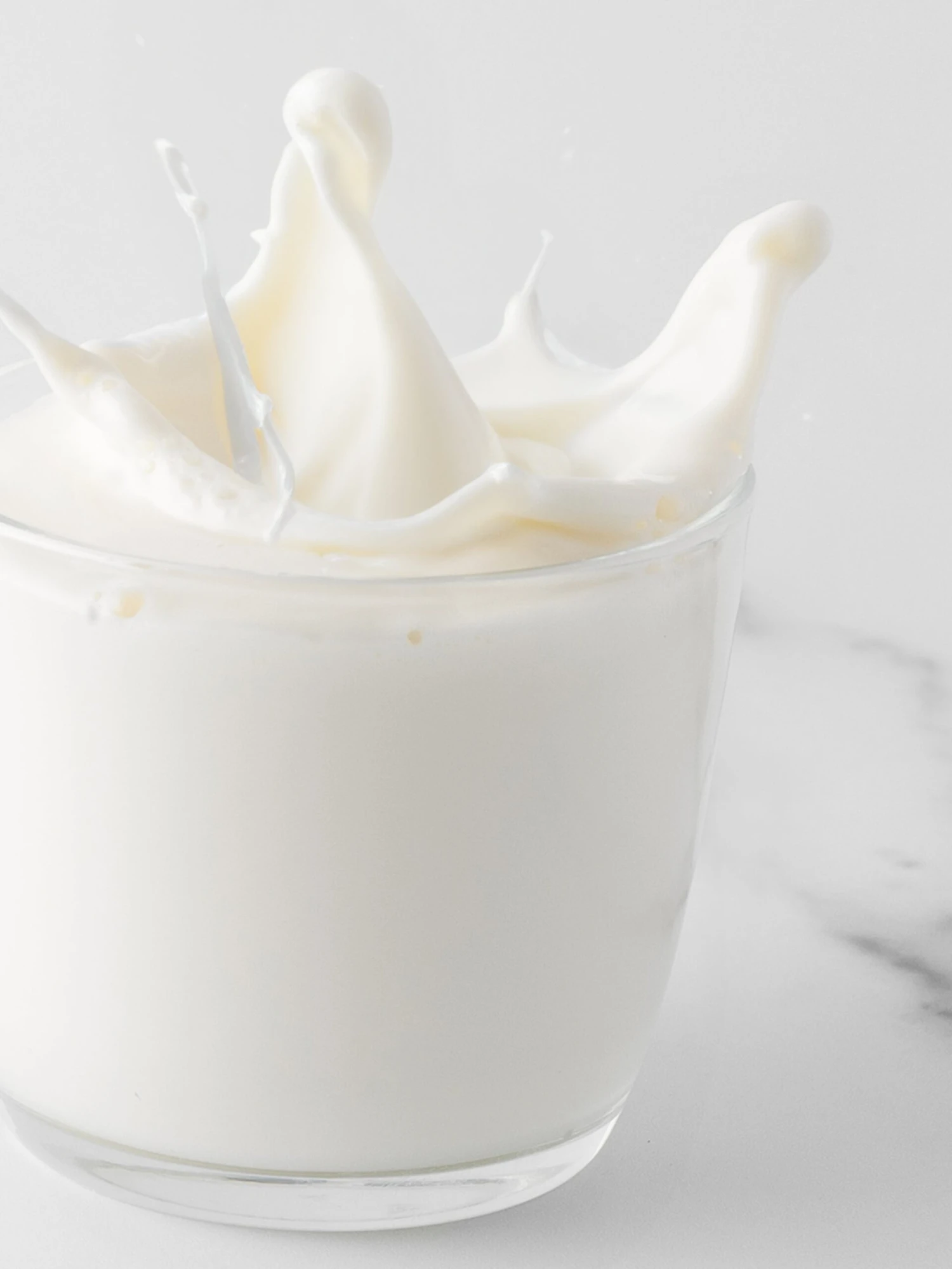 MILK 2 MILK - Image 2