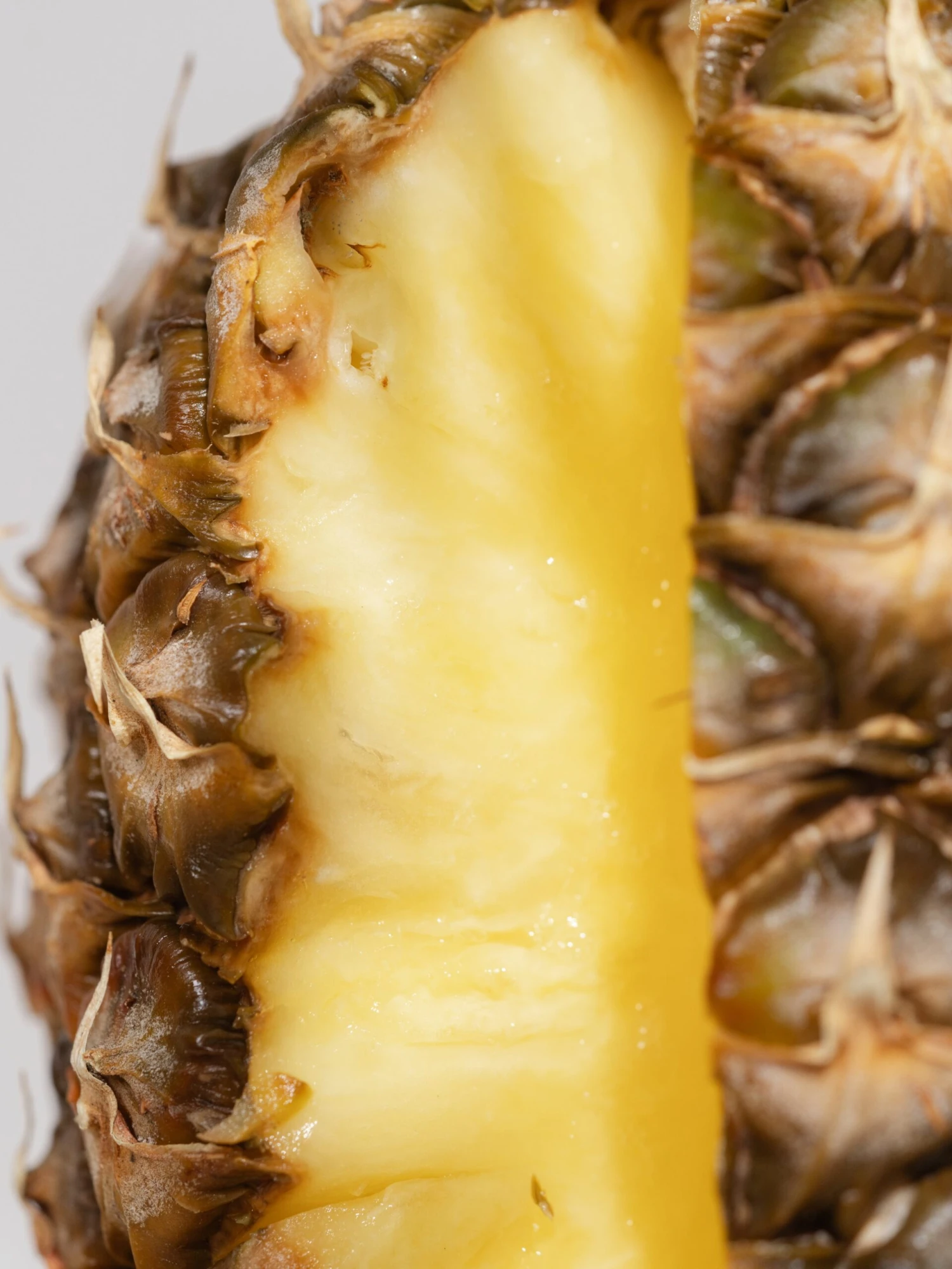 Pineapple Flower 2 Pineapple Flower - Image 2