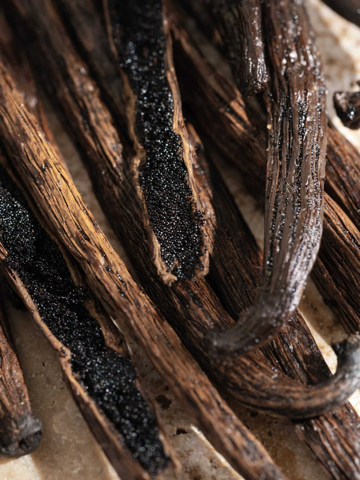 Anthropologie Pumpkin & Sweet Vanilla 2 Anthropologie Pumpkin & Sweet Vanilla - Image 2